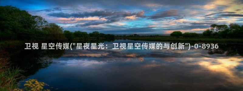 星空传媒专用通道