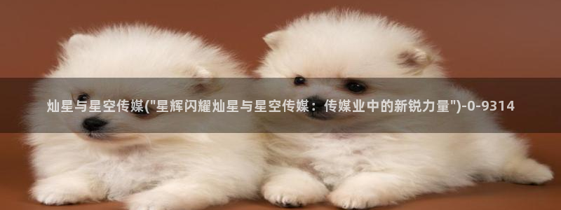 星空传媒上市了吗