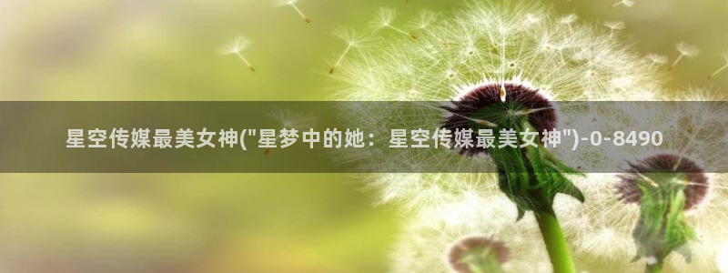 星空传媒果冻在线播放