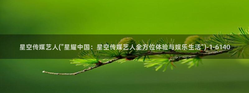 蓝色星空传媒电话