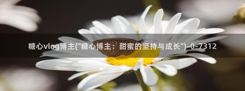 糖心vlog破解版下载免费