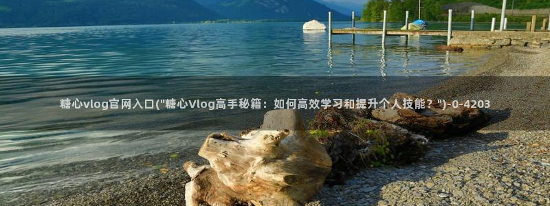 糖心vlog网站
