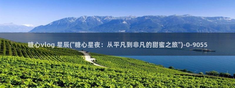糖心vlog直接进入