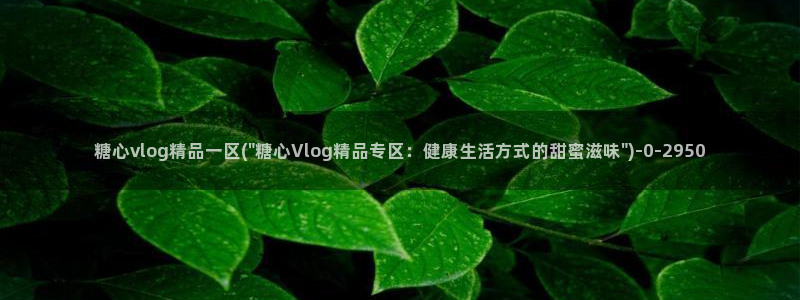 糖心系列vlog