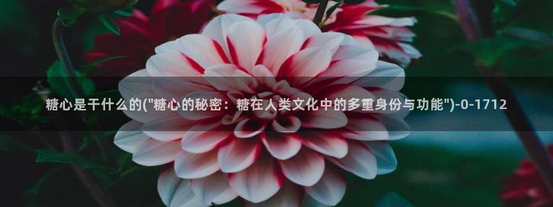 糖心vlog谁最好看