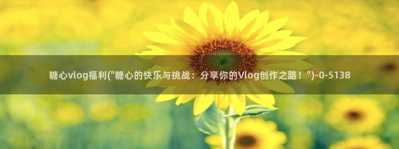糖心vlog免费下载观看