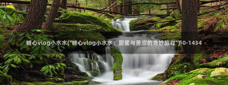 糖心vlogwww.