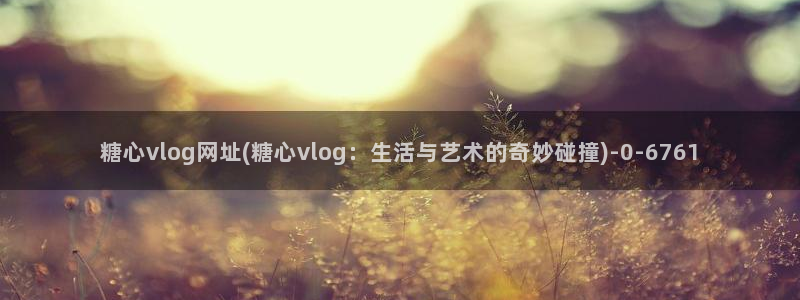 糖心vlog糖糖
