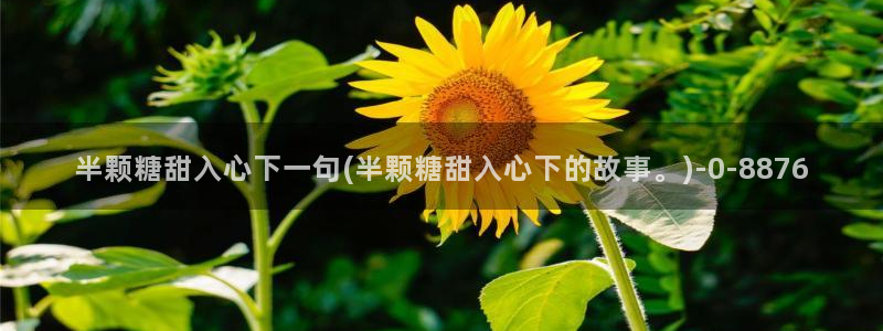 糖心vlog+