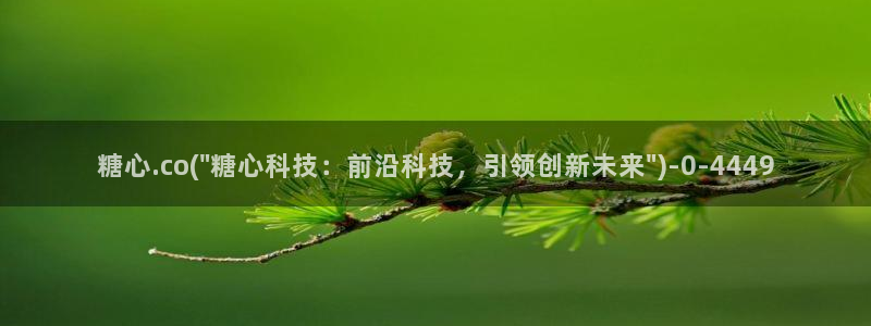 糖心vlog苹果