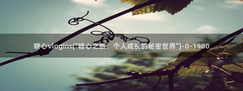 糖心vlog新官网入口