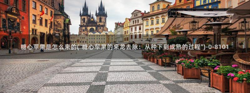糖心vlog破解版免登录