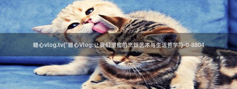 糖心传媒vlog