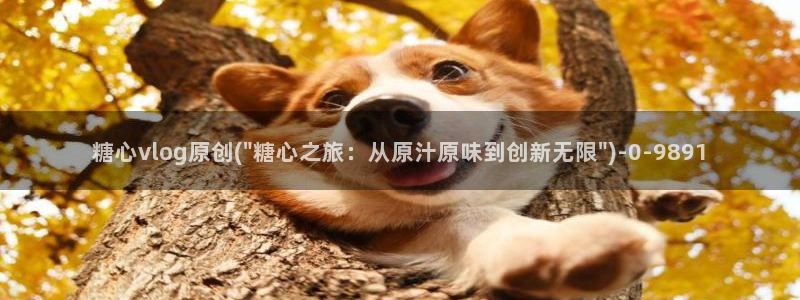 心糖vlog免费版