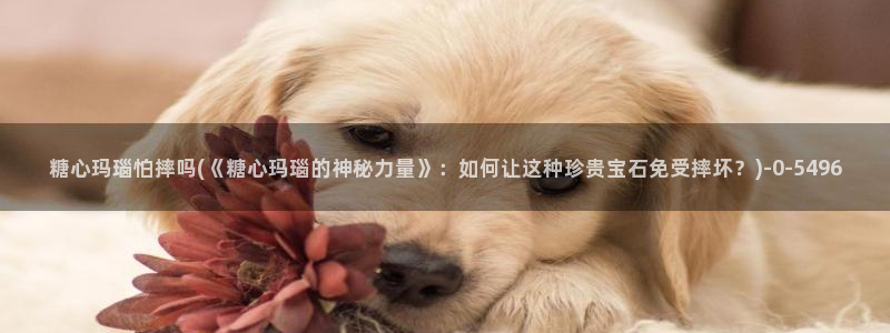 糖心vlog在线观看免费高清完整版